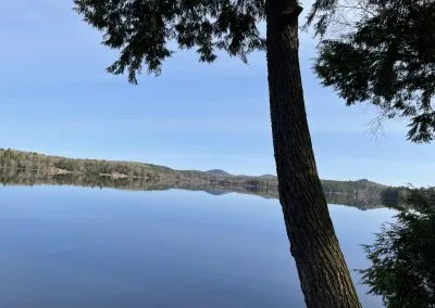 Long Lake Pic back yard